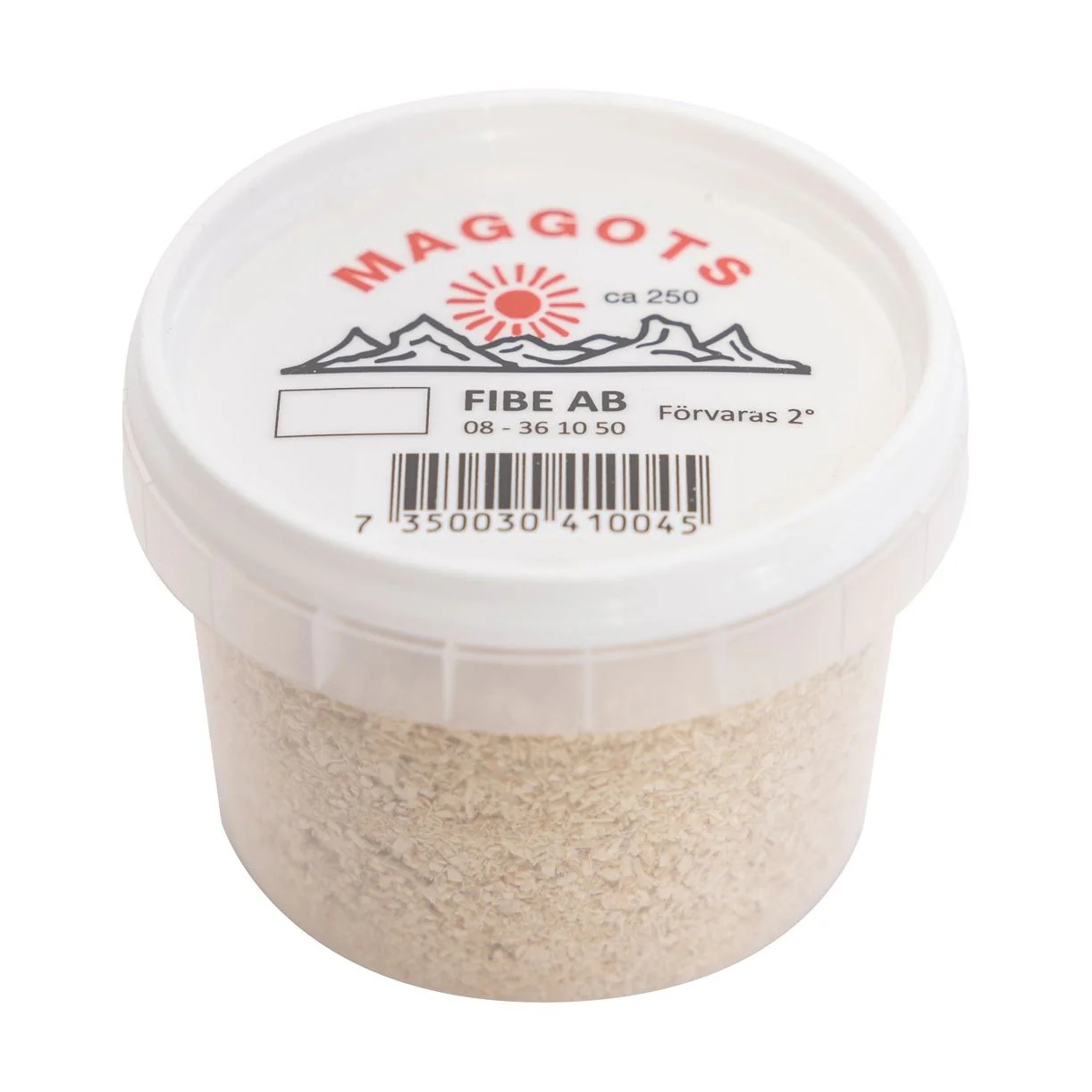Maggots VIT