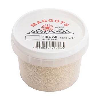 Maggots VIT