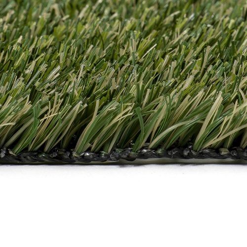 Green Hybrid Play - 6