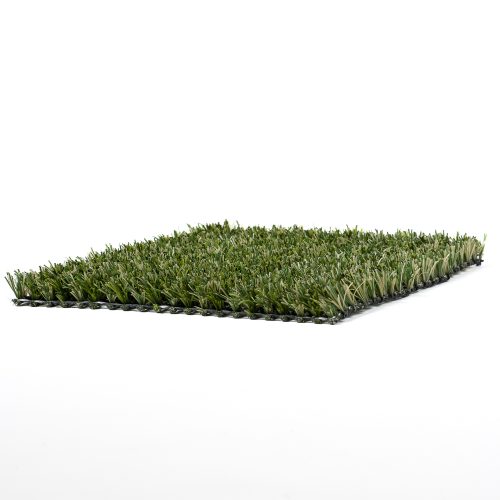 Green Hybrid Play - 3