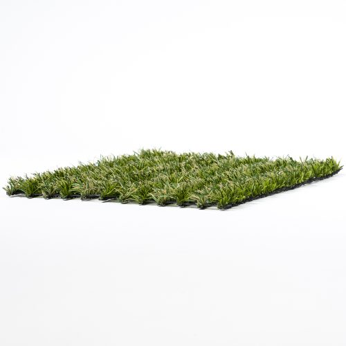 Green Hybrid Landscape - 3