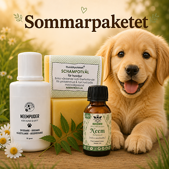 SOMMARPAKETET