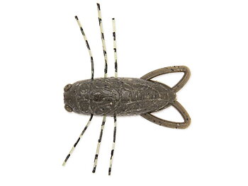 Reins Insecter 1.6" 5-pack