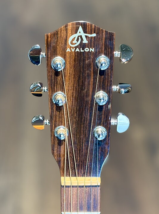 Avalon  AS-101CE