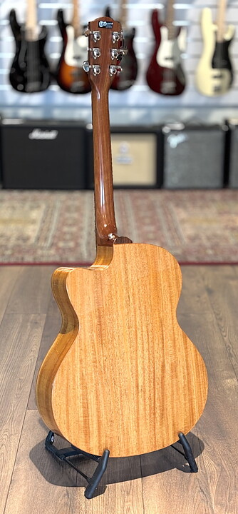 Avalon  AS-101CE