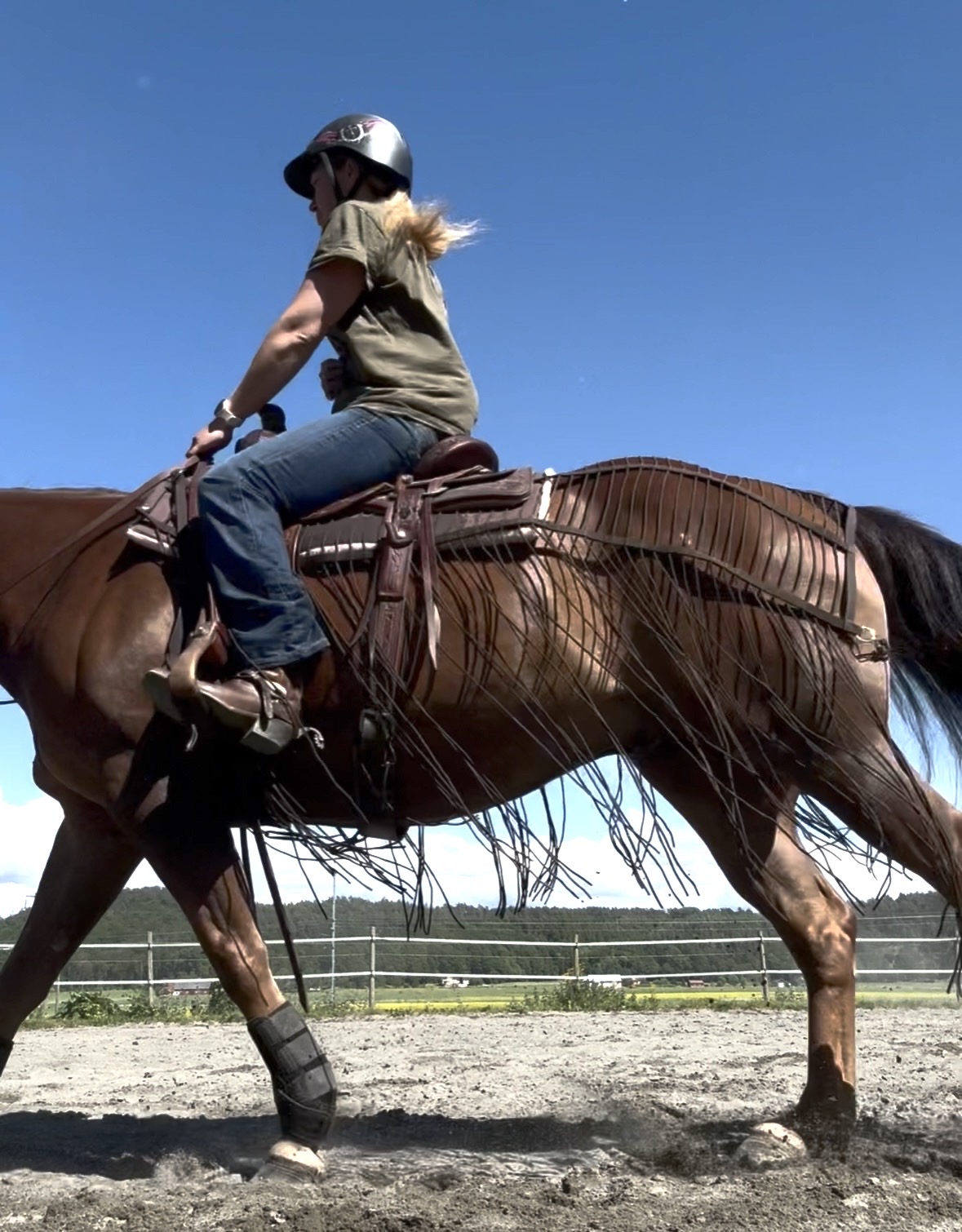 All That Harness Fly Net -RIDING - 2