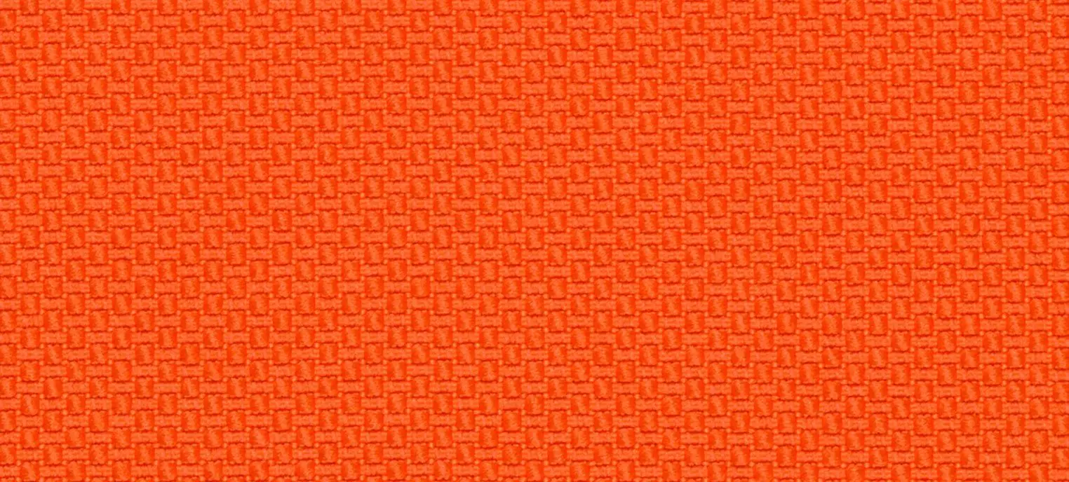 Felicitas, orange