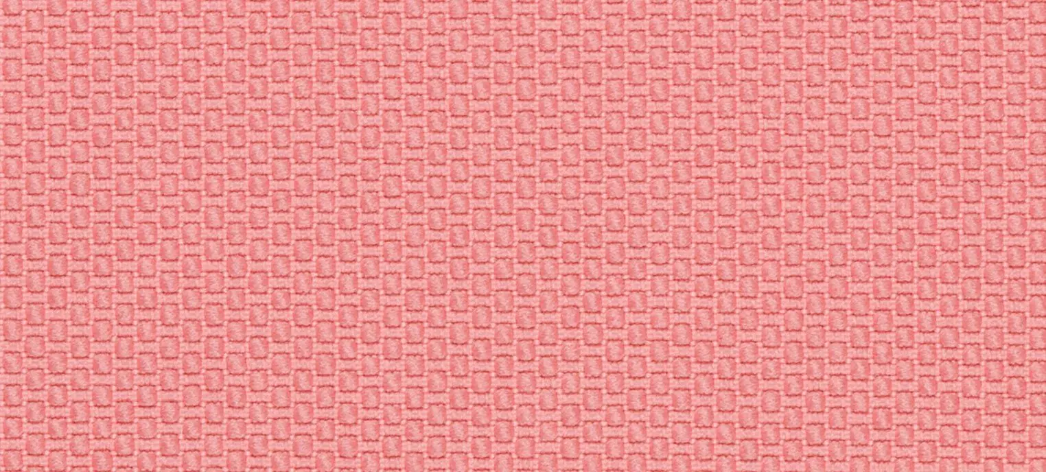 Felicitas, rosa