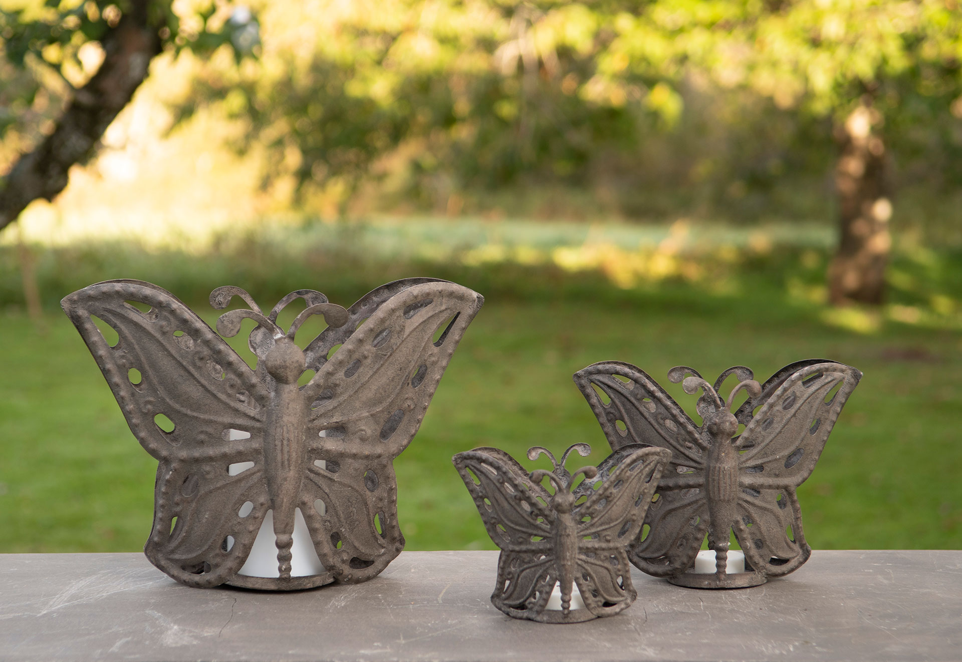 Lantern - Pot Outdoor Butterfly - 3 pcs