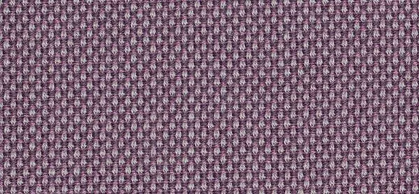 Breeze Fusion, lila-violett