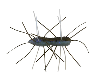 Z-Man Fuzzy BugZ 1.75" 4-pack