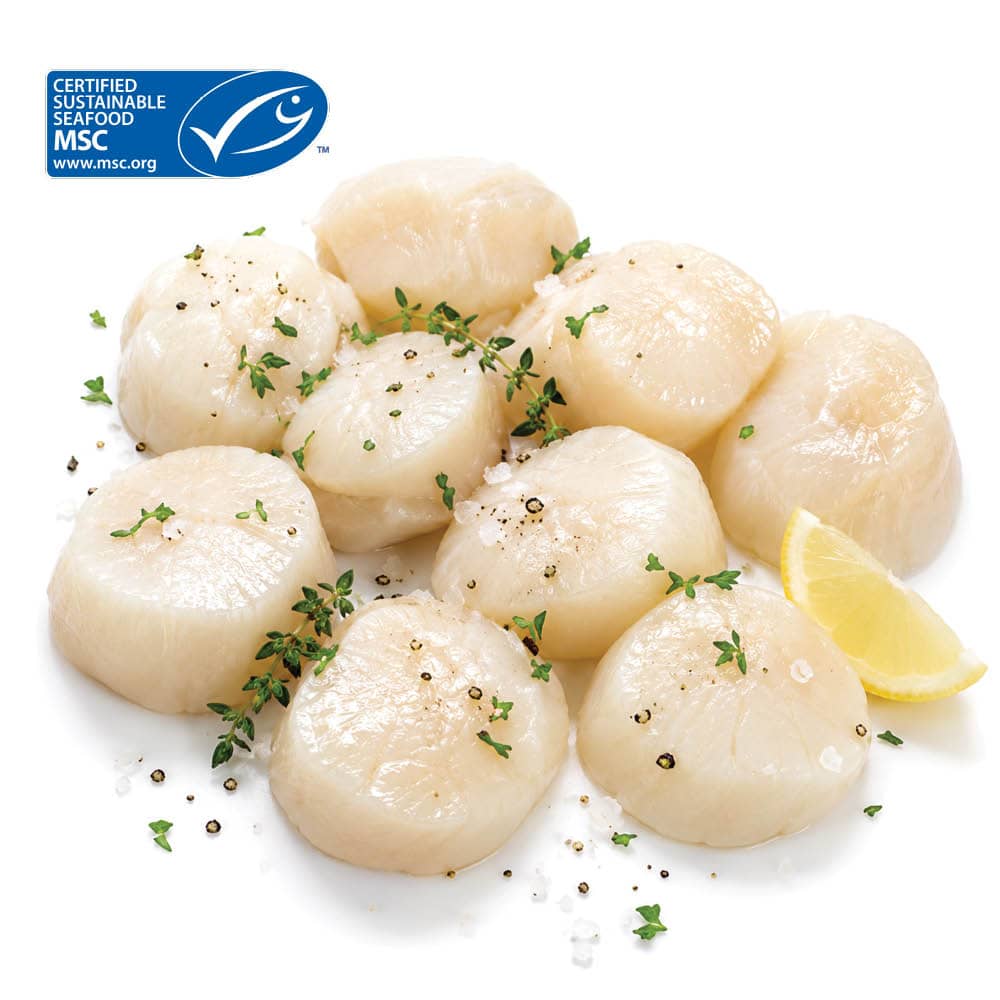 Pilgrimsmusslor MSC 10/20 Frysta 1 kg från Fiskegott