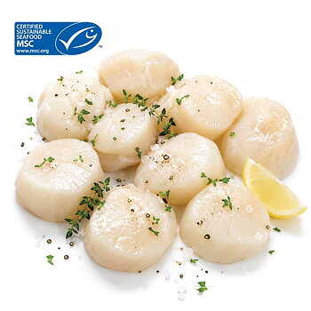 Pilgrimsmusslor MSC 10/20 Frysta 1 kg från Fiskegott