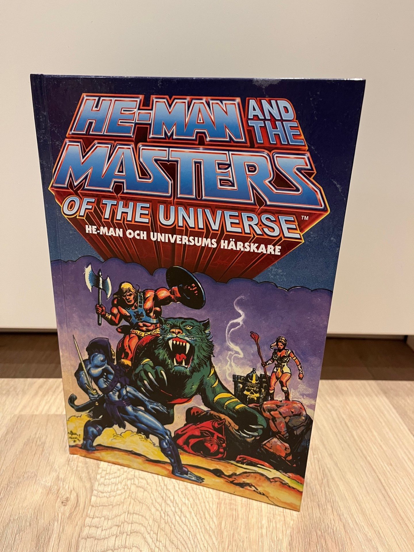 Masters of the Universe: He-Man och universums härskare