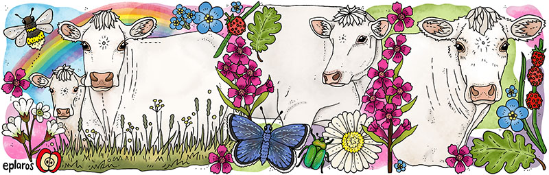 Emaljmugg - Charolais - 2