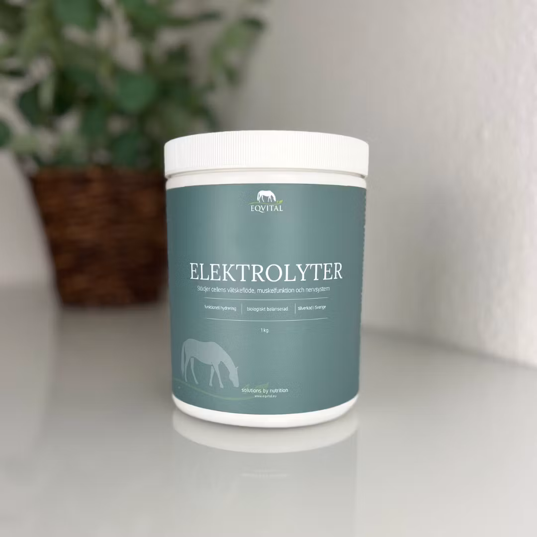 EQVITAL ELEKTROLYTER