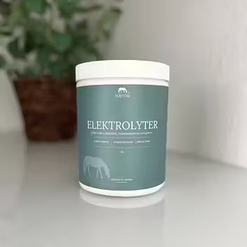 EQVITAL ELEKTROLYTER