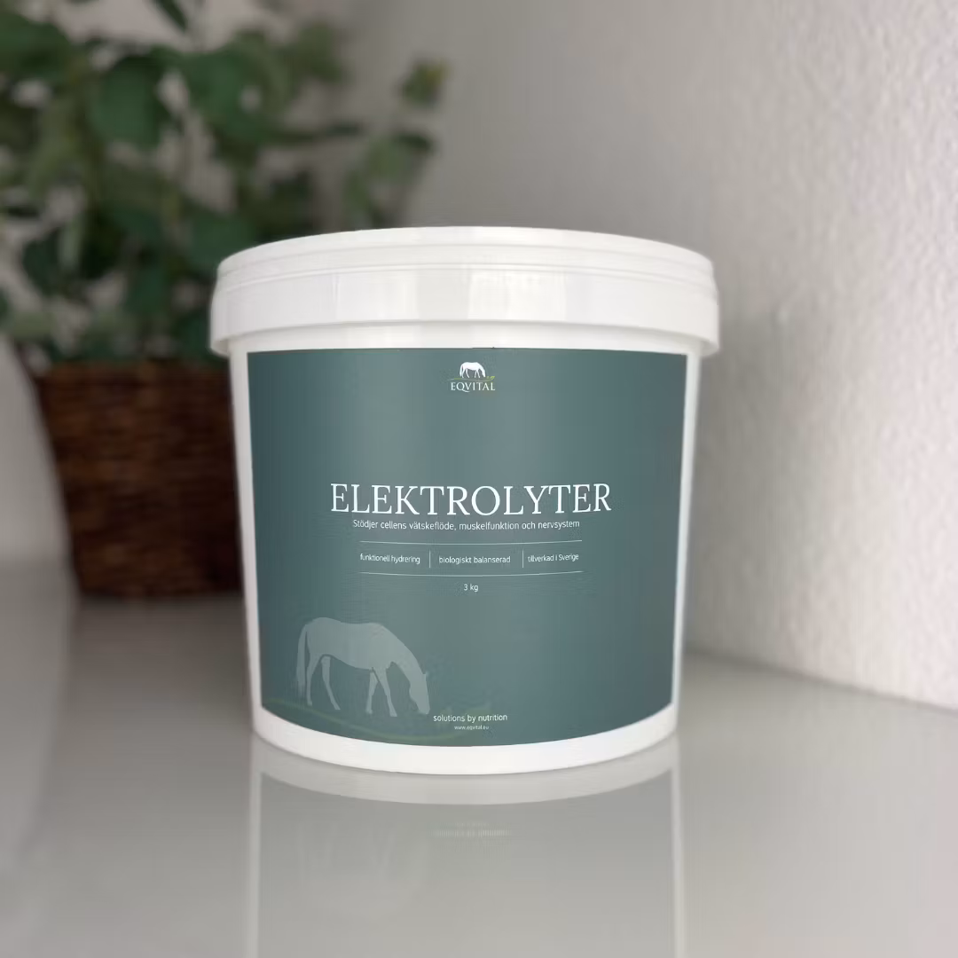 EQVITAL ELEKTROLYTER - 2