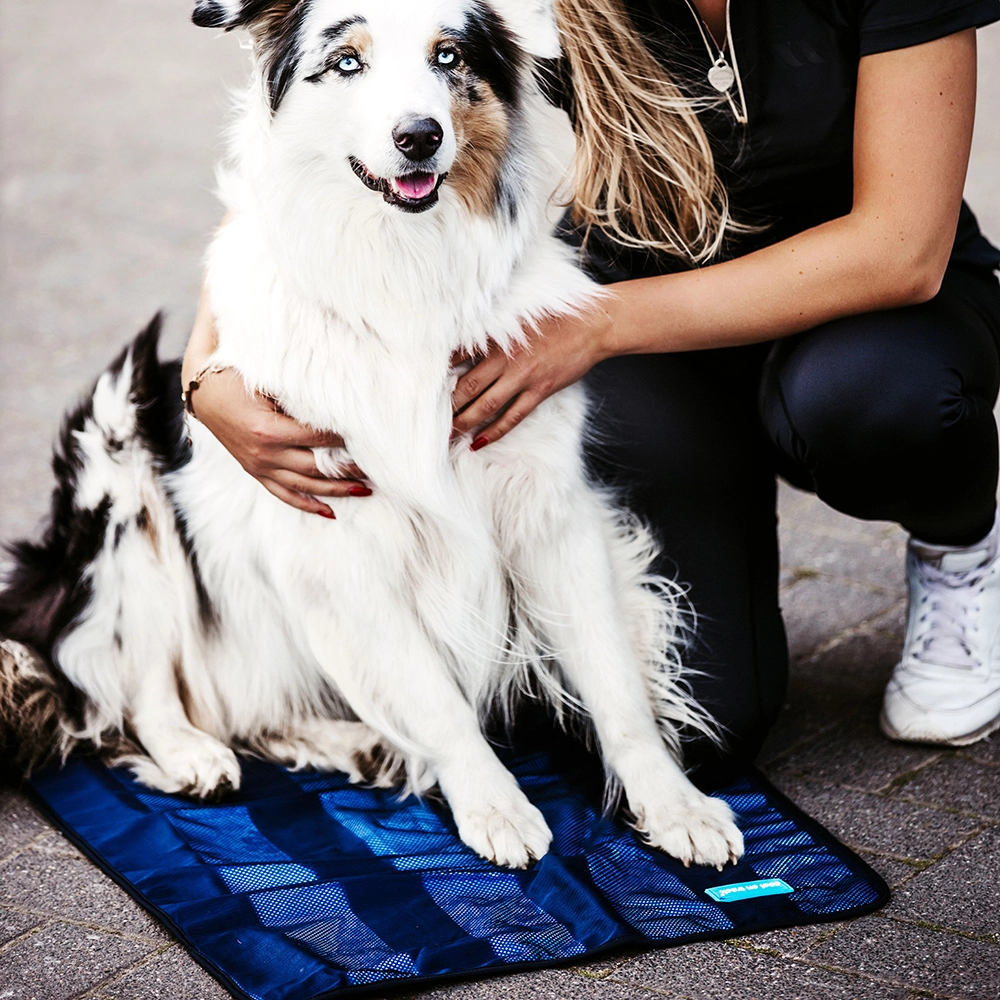 Cooling pad for dogs, cats, and humans from Back on Track