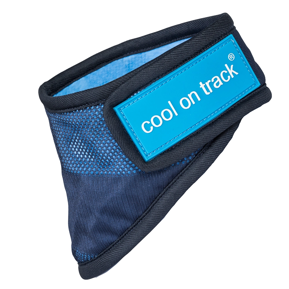 Cooling neck scarf for your dog: Cool on Track
