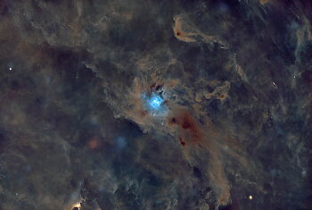 IRIS NEBULA - NGC7023 (UTAN STJÄRNOR)