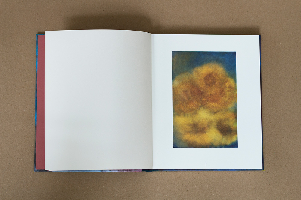 Clara Gesang-Gottowt: Målningar/ Paintings 2021–2025 - 7