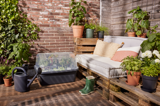 elho  Grow Garden  - 4