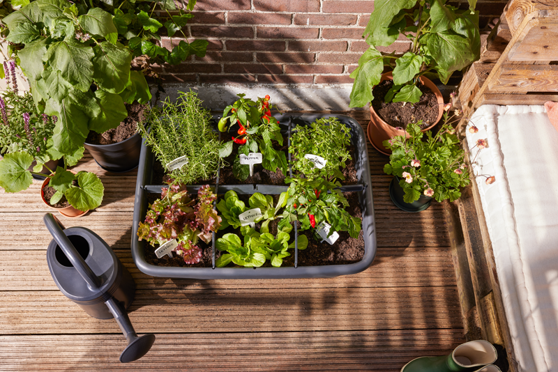 elho  Grow Garden 