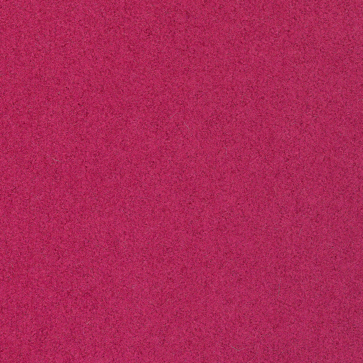 Europost 2, rosa
