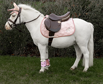 KENTUCKY Schabrak Unicorn Glitter