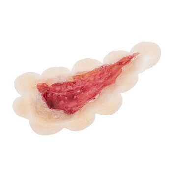 Grimas Latex Prostetic - Open Wound 806