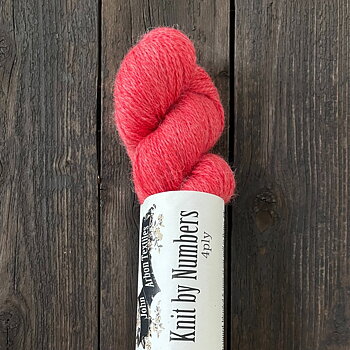 KNIT BY NUMBERS 4ply RED 22