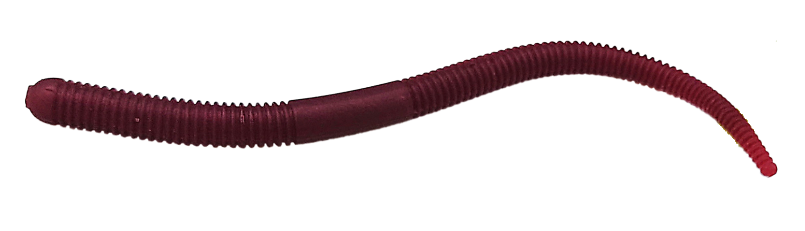 Eisvogel Lust Crawler 5.8" 6-pack
