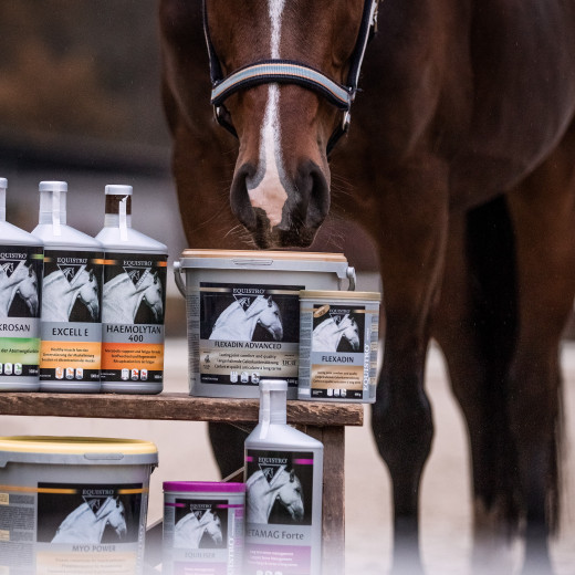 Fortilskudd fra Equistro
