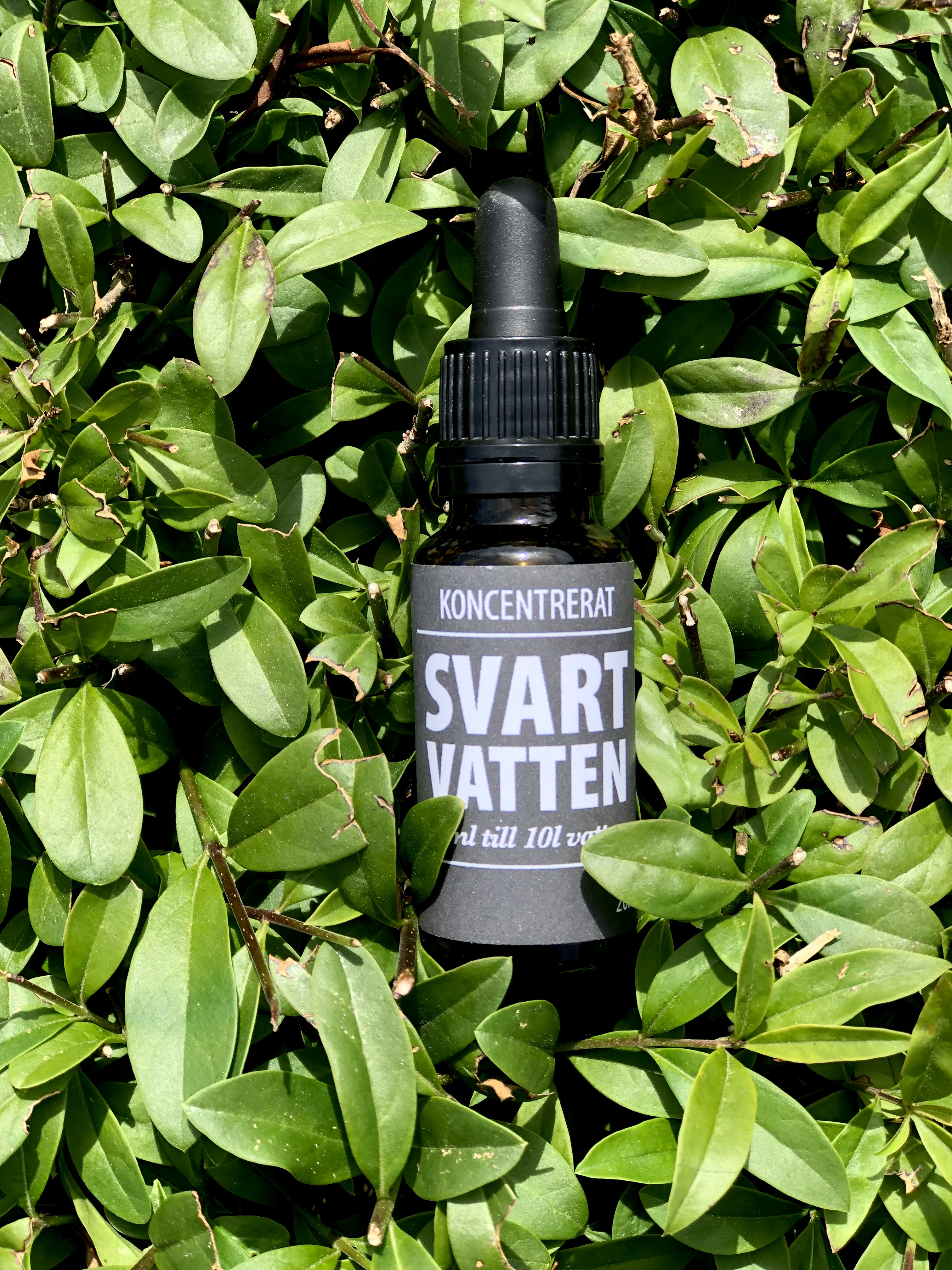 SVART VATTEN