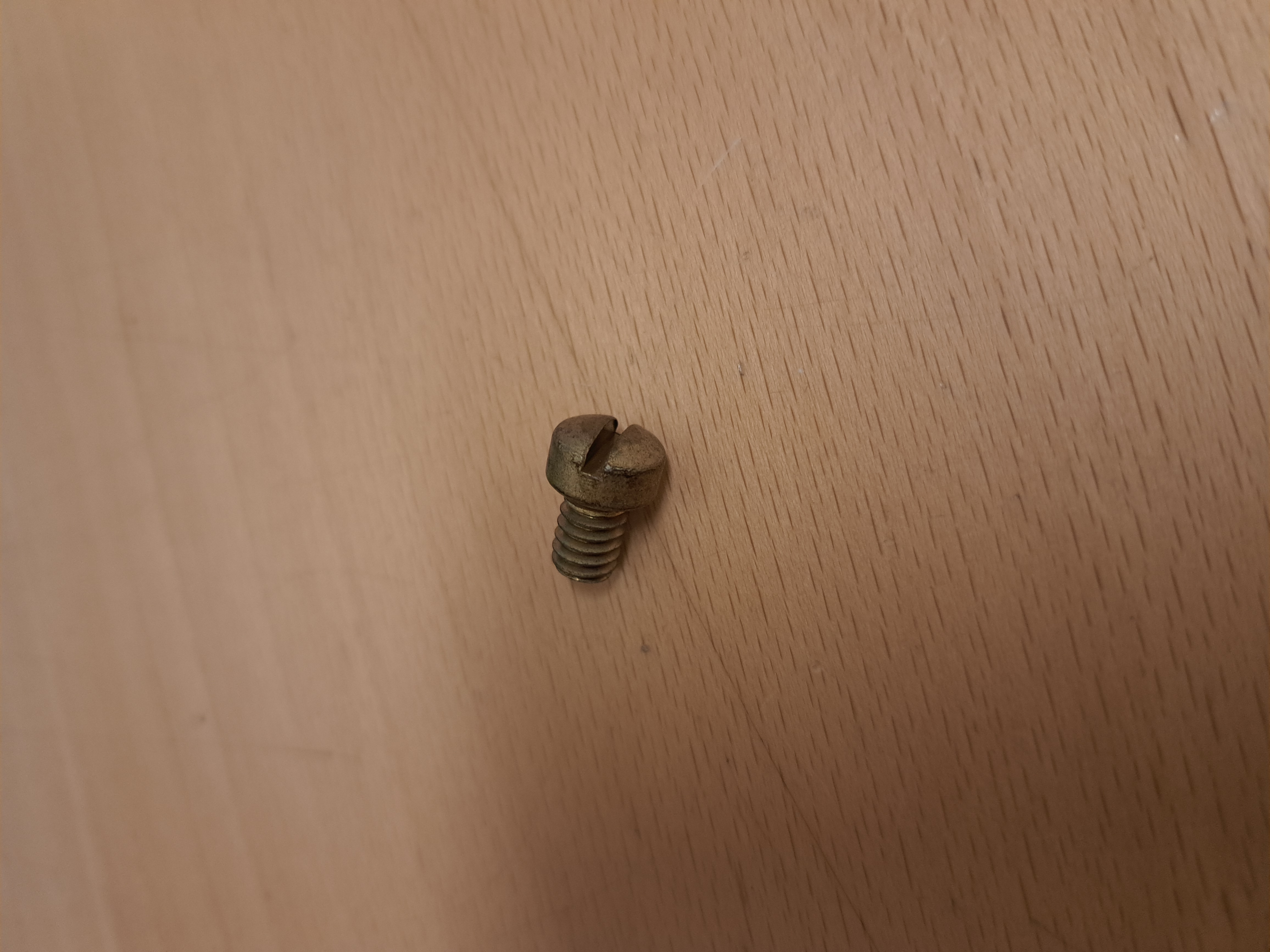 Screw