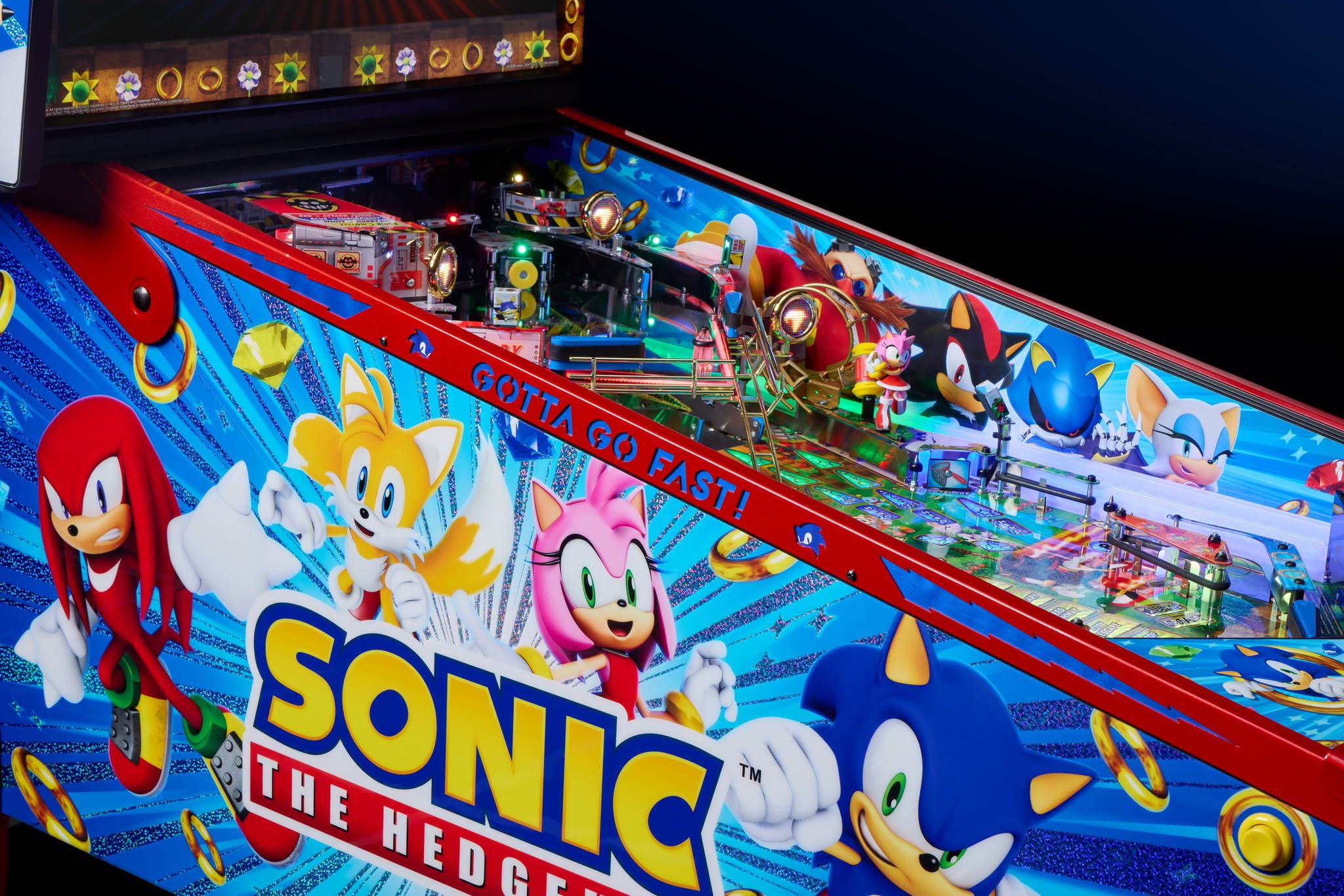 Sonic The Hedgehog – Collector Edition - 6