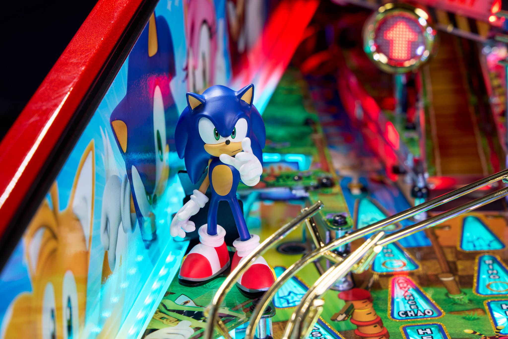 Sonic The Hedgehog – Collector Edition - 10
