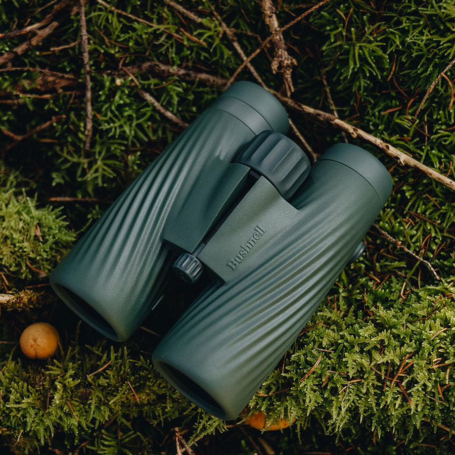 Bushnell A5 8x42 Roof Cilantro Green - 4