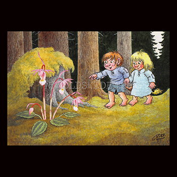 TROLLBARNEN MYRA OCH SYREN No: 133 - 60133- Trollkort Rolf Lidberg Vykort A6 - 912