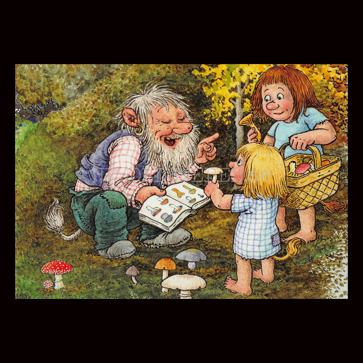 SVAMPKURS No: 153 - 60153- Trollkort Rolf Lidberg Vykort A6 - 912