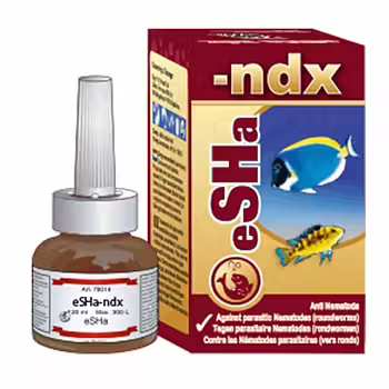 eSHa gdex