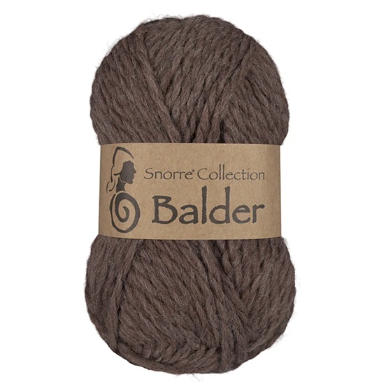 808 Brun, Balder