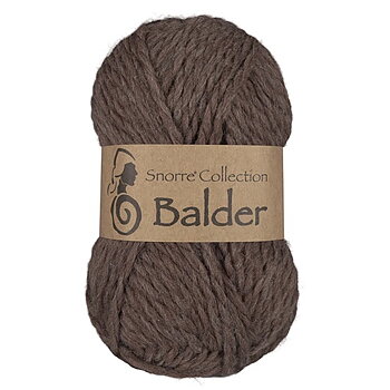 808 Brun, Balder