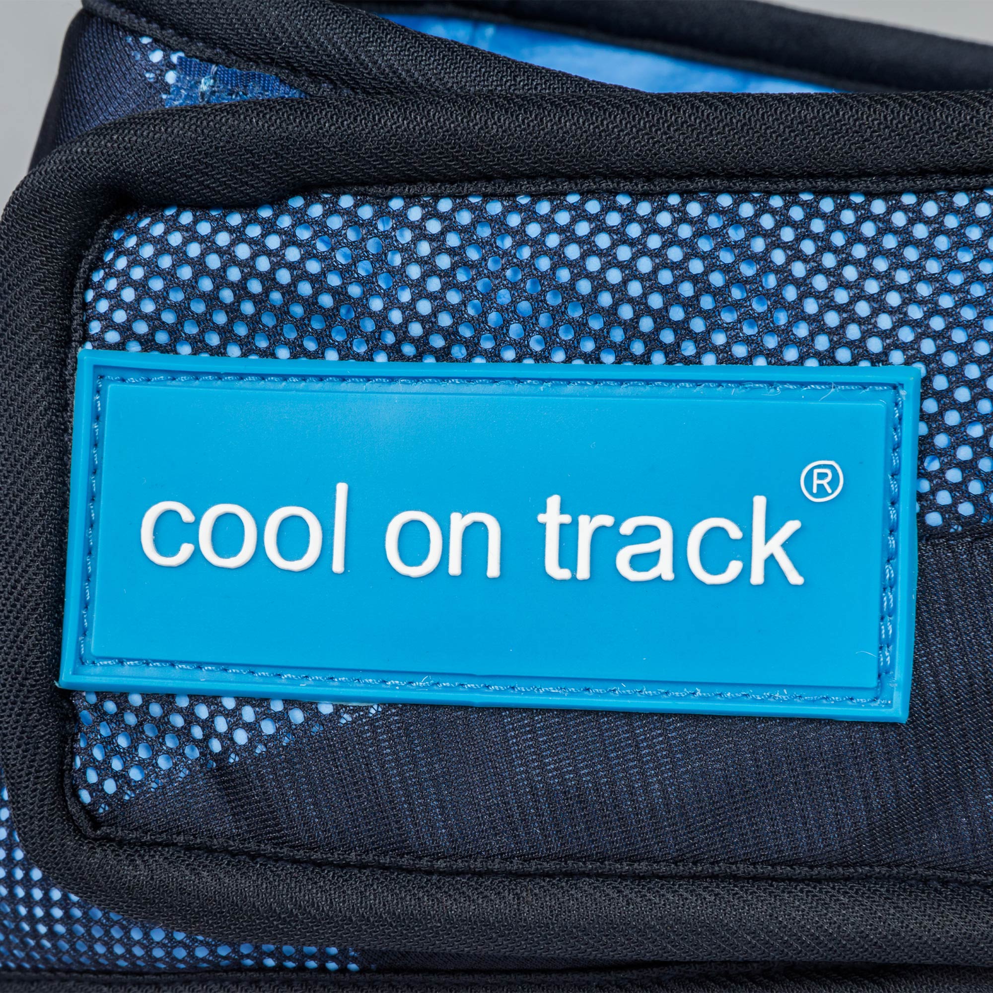 Cool on Track Cooling Dog Scarf - 2