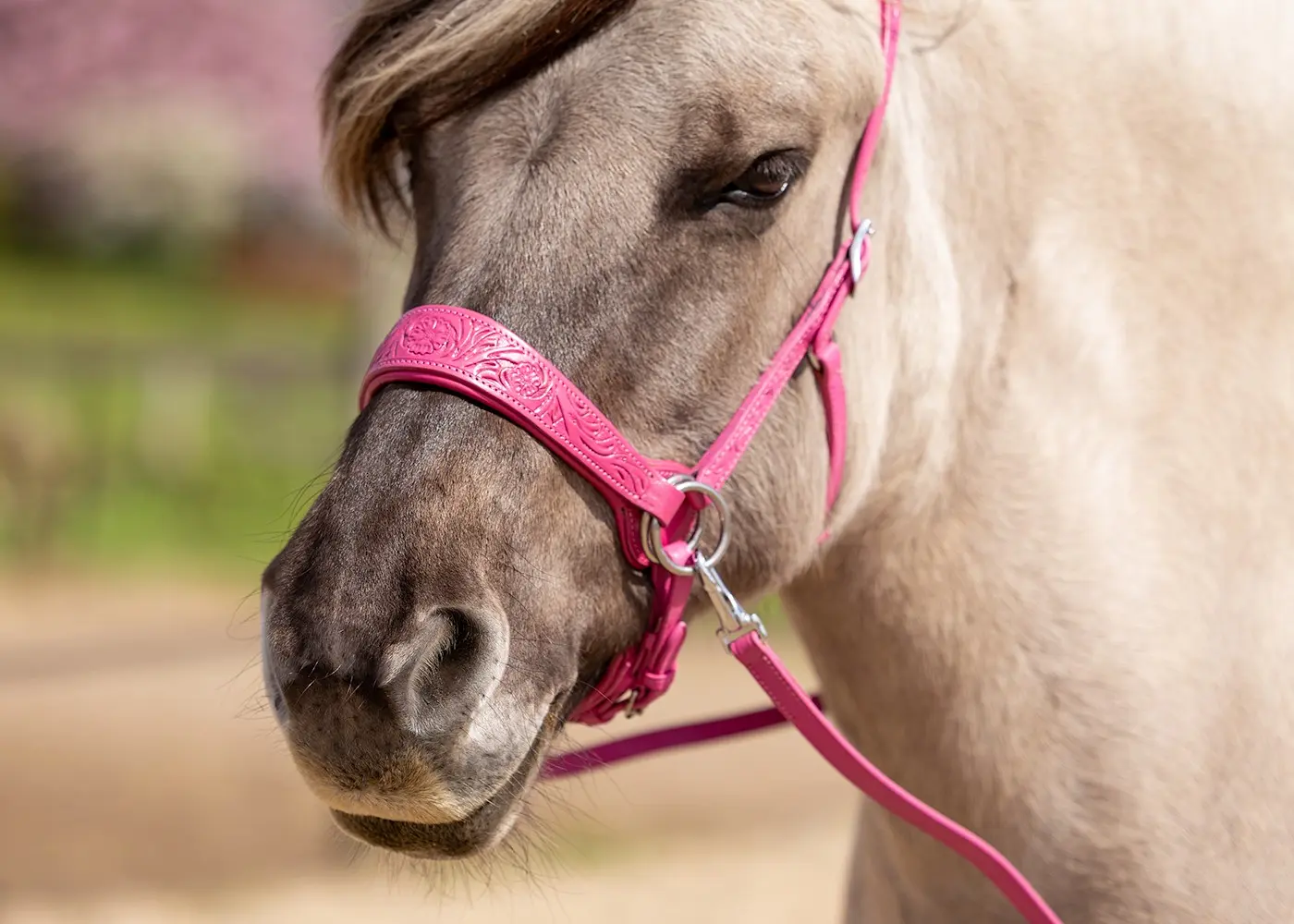 Sidepull Anatomical, Edix© Rose, incl. reins, pink - 5
