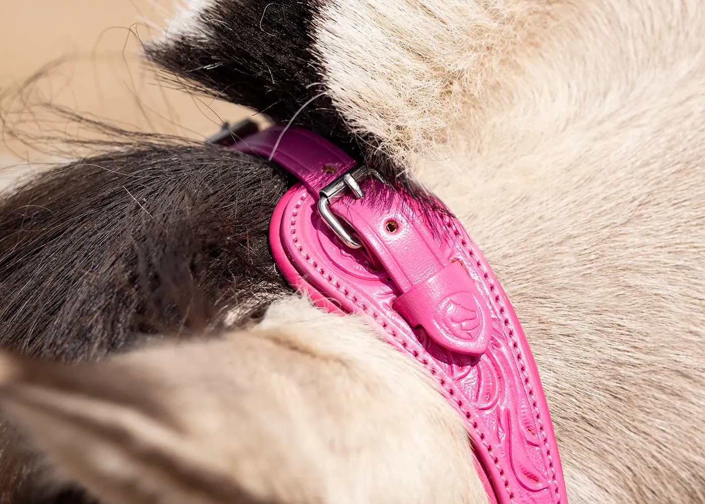 Sidepull Anatomical, Edix© Rose, incl. reins, pink - 3