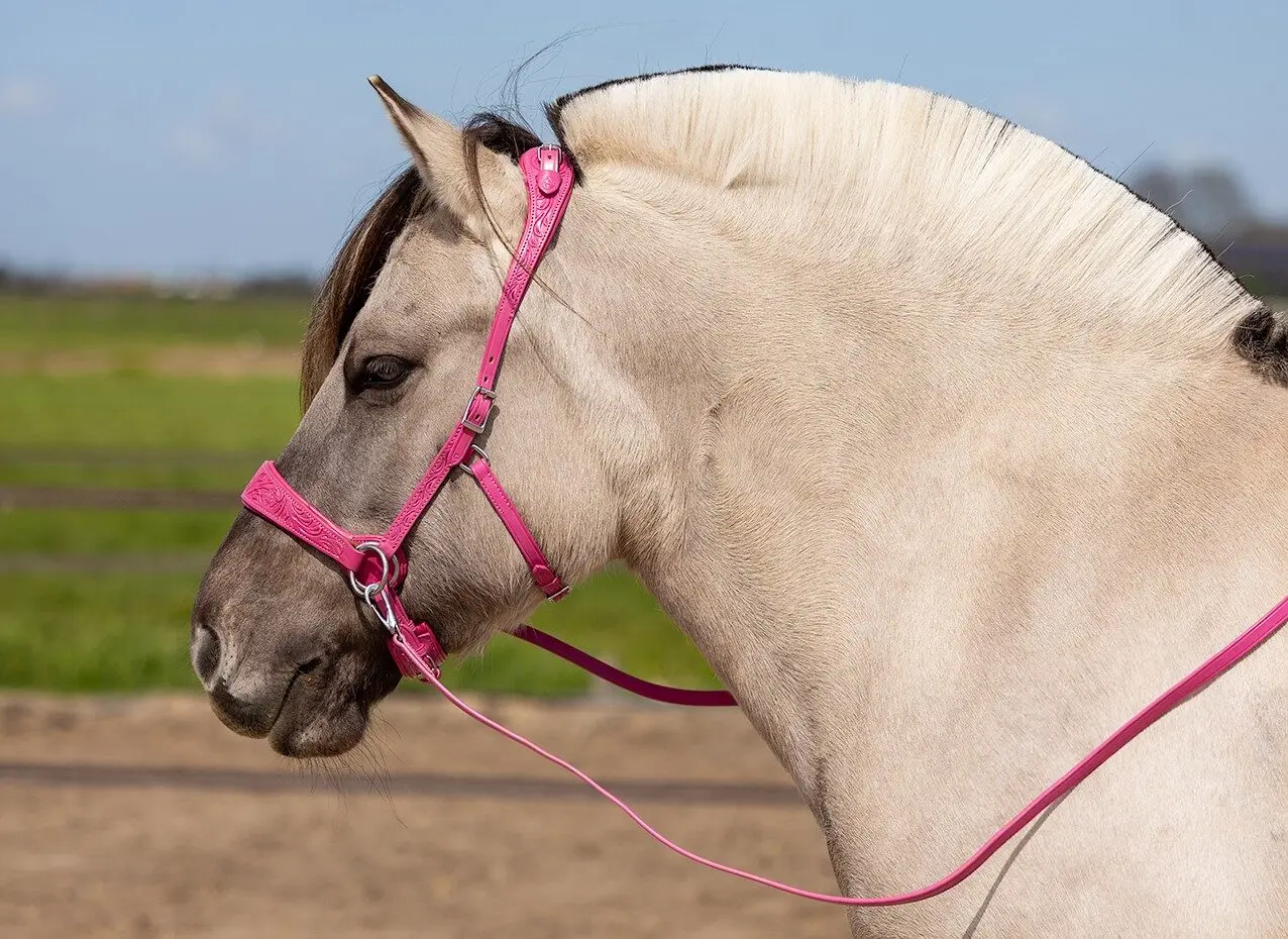 Sidepull Anatomical, Edix© Rose, incl. reins, pink - 8
