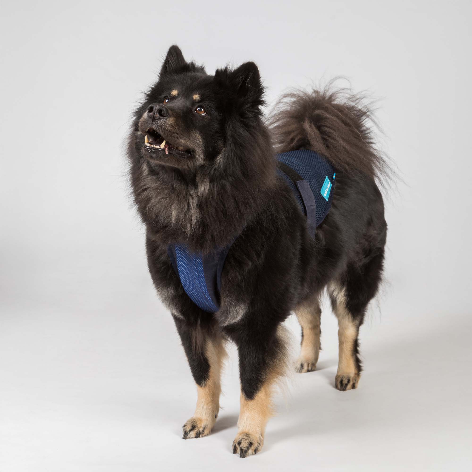Cool on Track Cooling Harness - 8