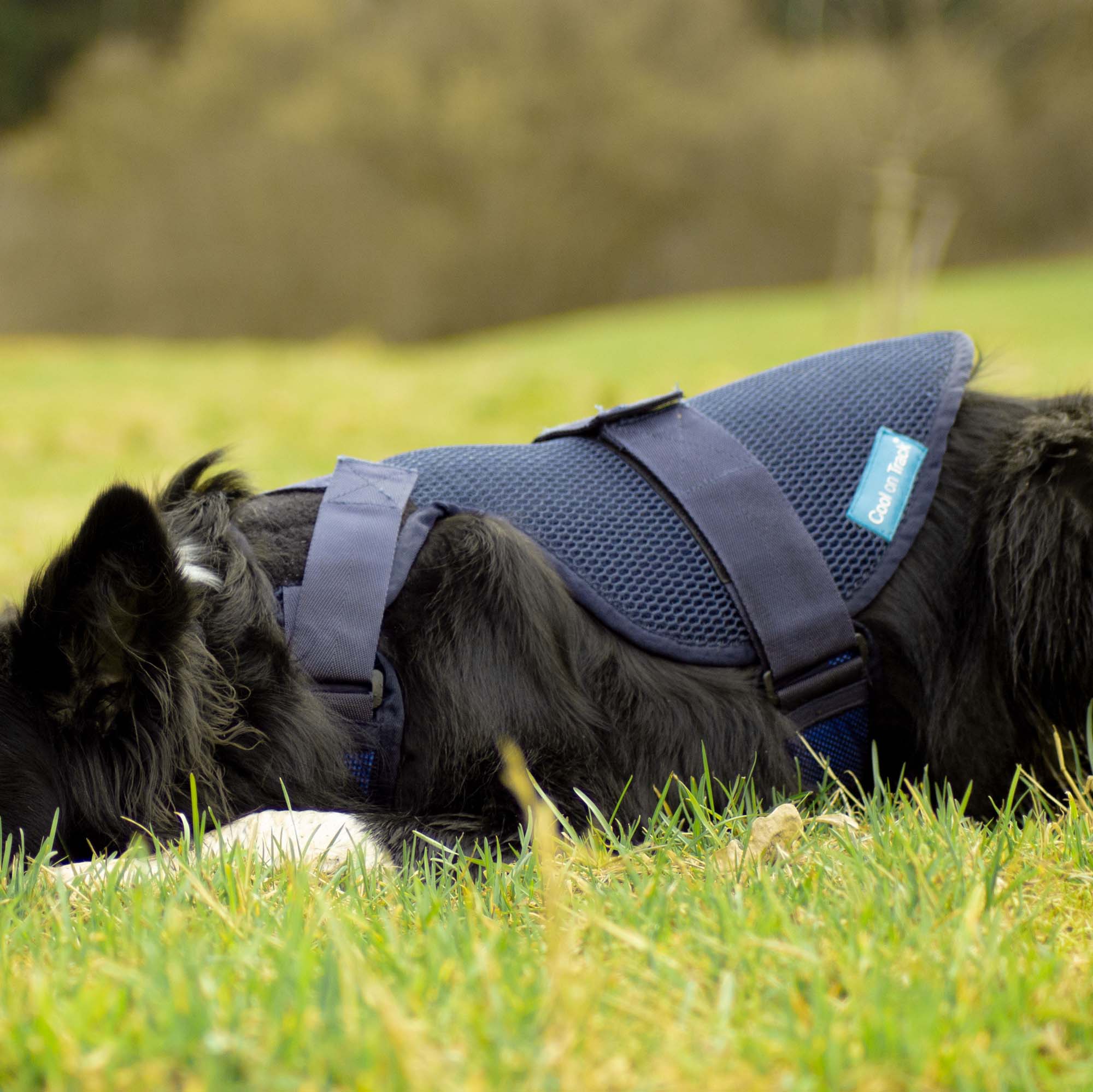 Cool on Track Cooling Harness - 10